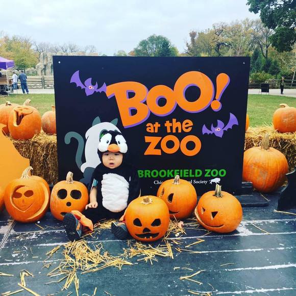 Meet your Posher, Bayasal - Picture 1 of 1